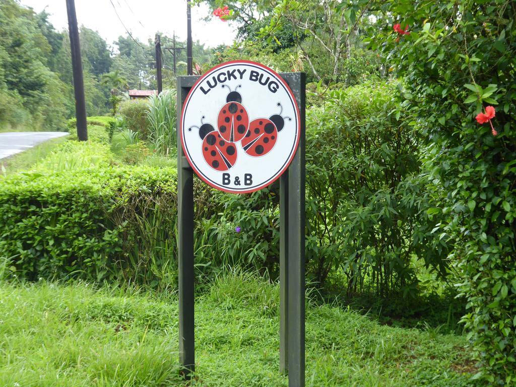 Lucky Bug Bed And Breakfast Nuevo Arenal Exteriér fotografie