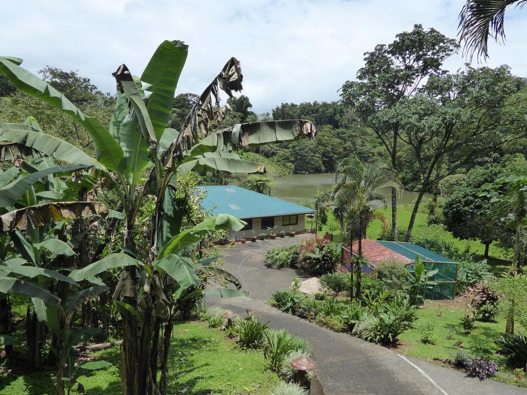 Lucky Bug Bed And Breakfast Nuevo Arenal Pokoj fotografie